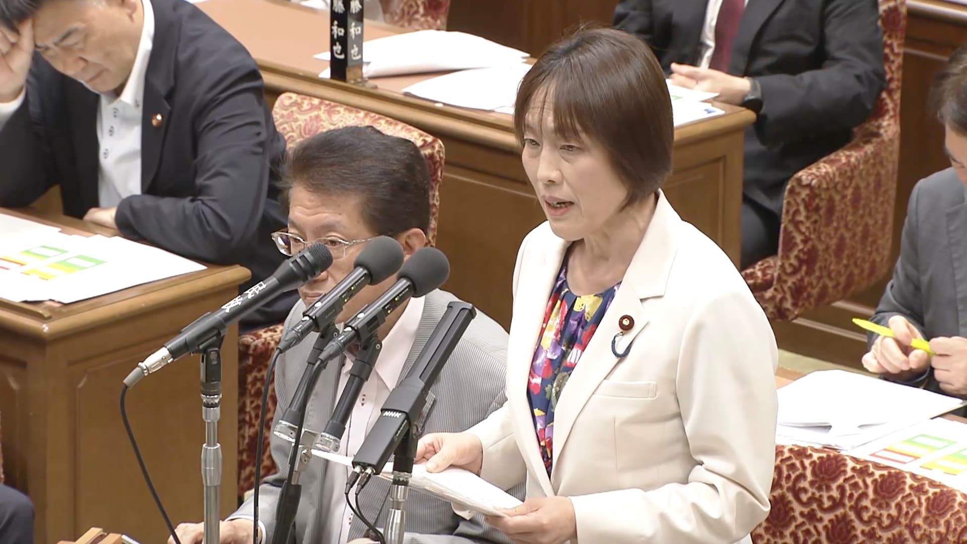 070606　予算委員会　田村智子議員