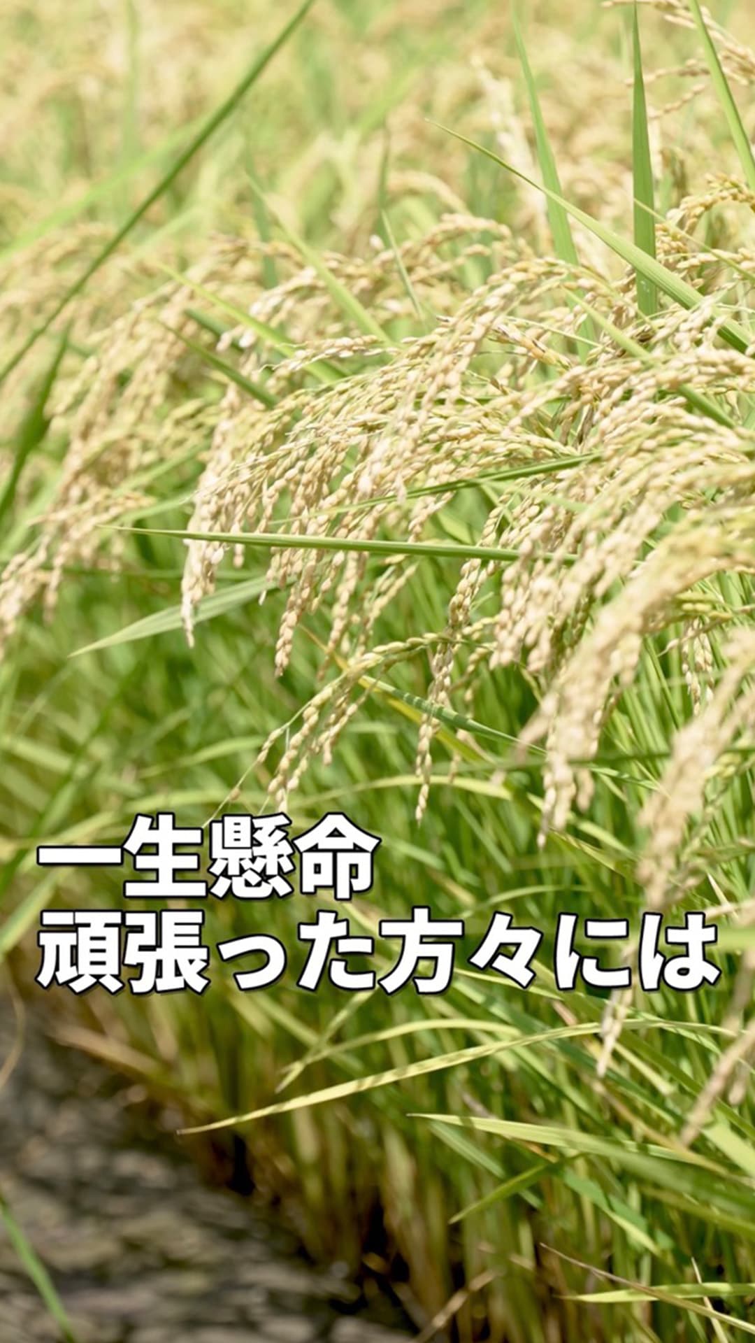 20250713コメ２_石破総裁